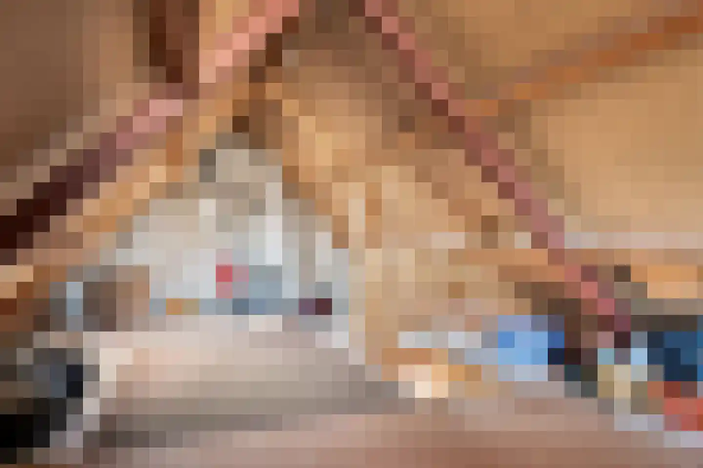 Traland 37 Eibergen thumbnail 22