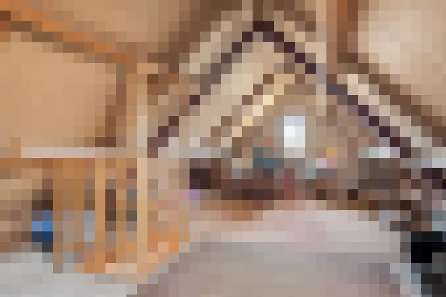 Traland 37 Eibergen thumbnail 23