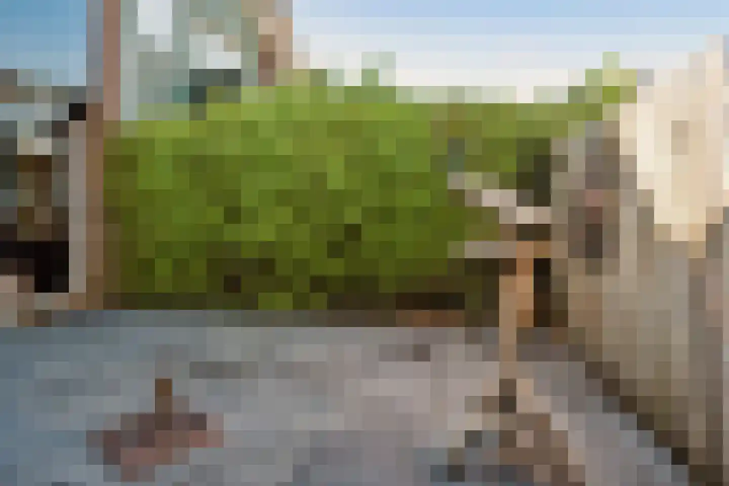 Traland 37 Eibergen thumbnail 25