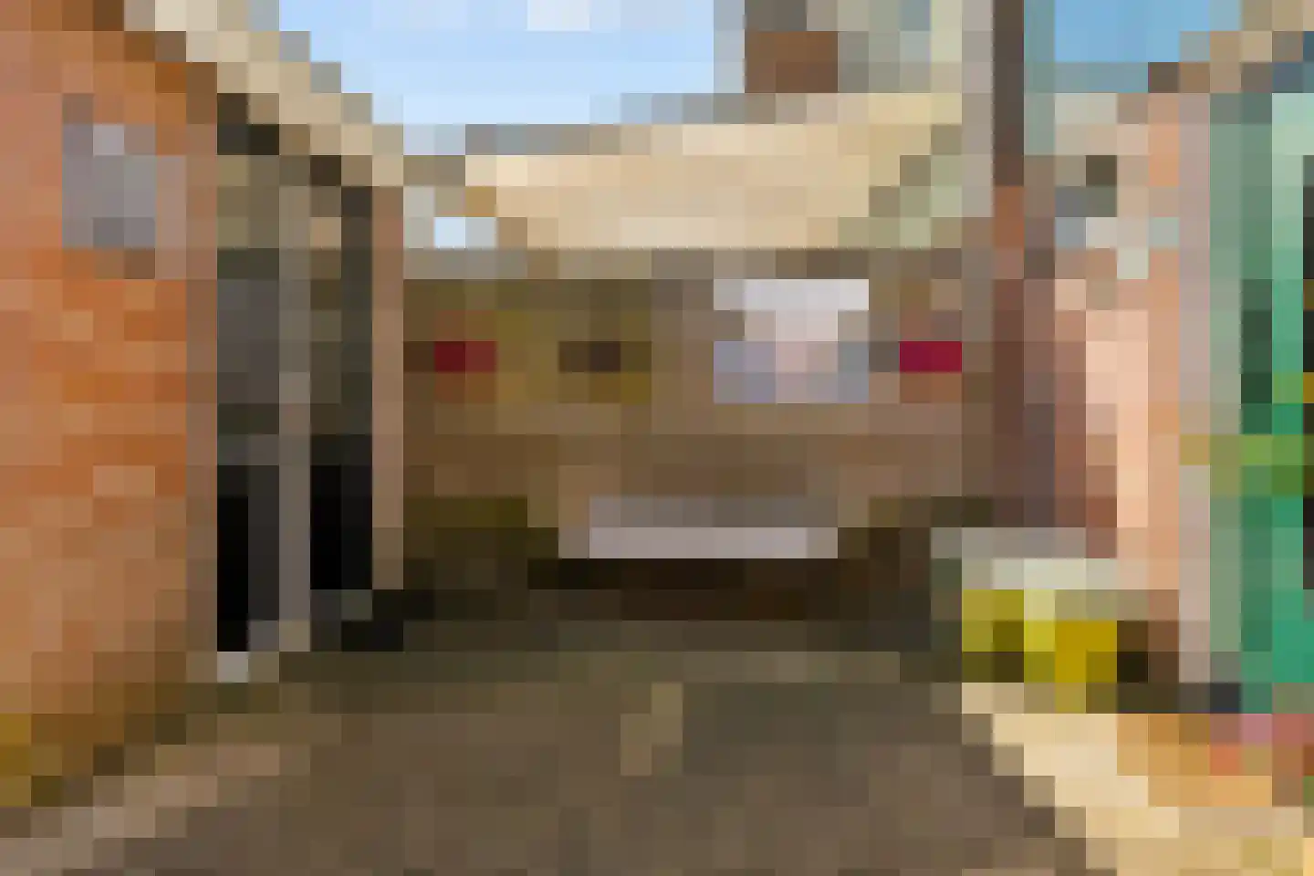Traland 37 Eibergen thumbnail 27