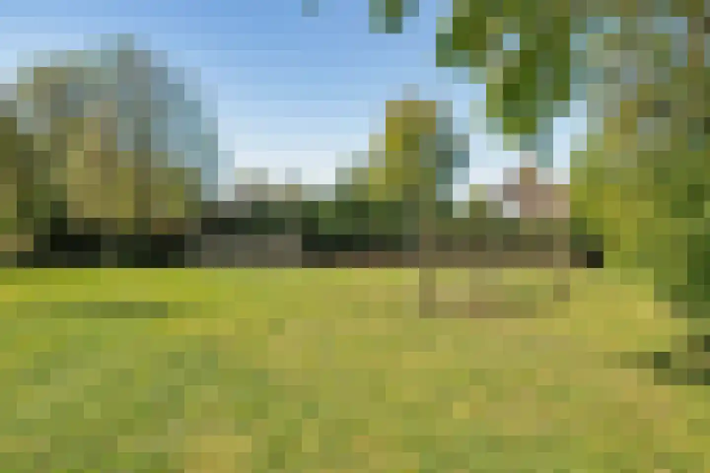 Traland 37 Eibergen thumbnail 42