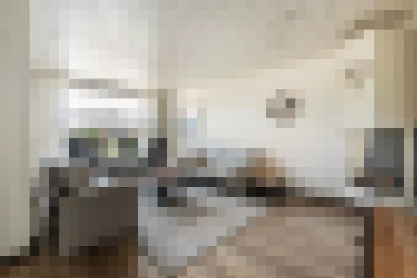 Traland 8 Eibergen thumbnail 10