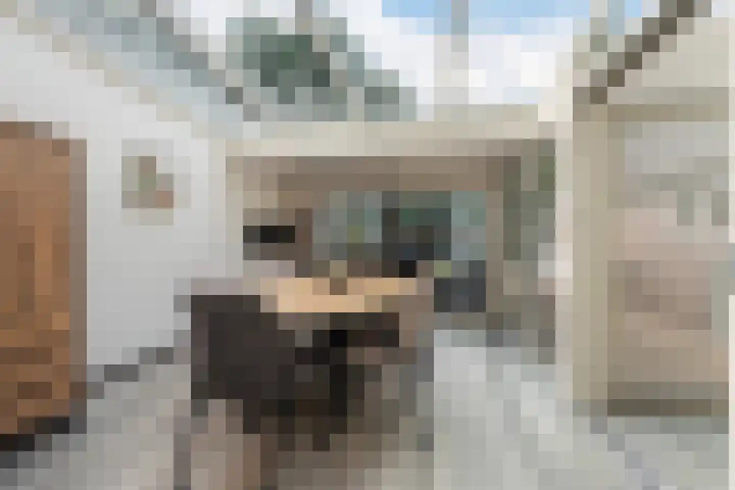 Traland 8 Eibergen thumbnail 15