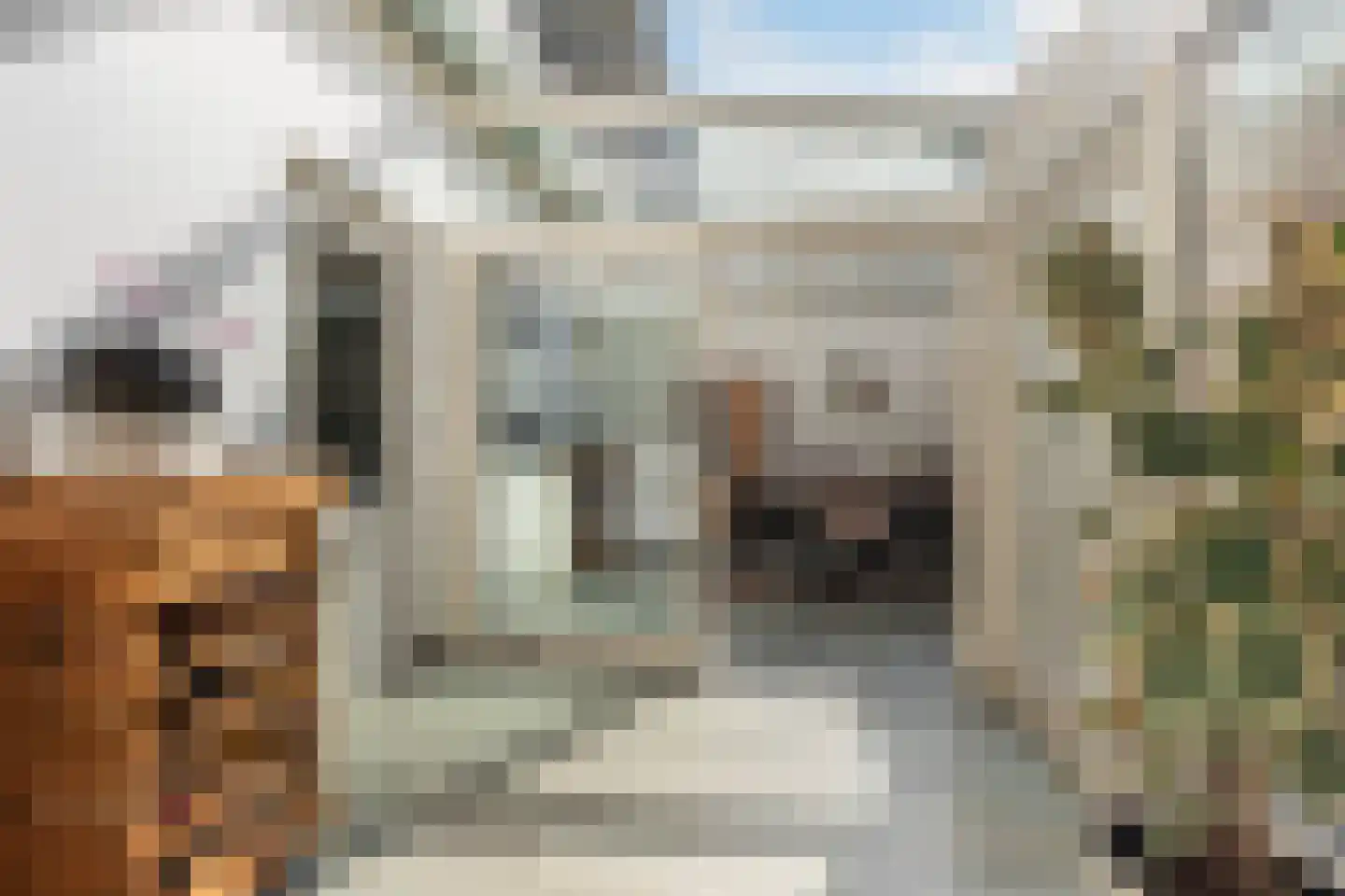 Traland 8 Eibergen thumbnail 19