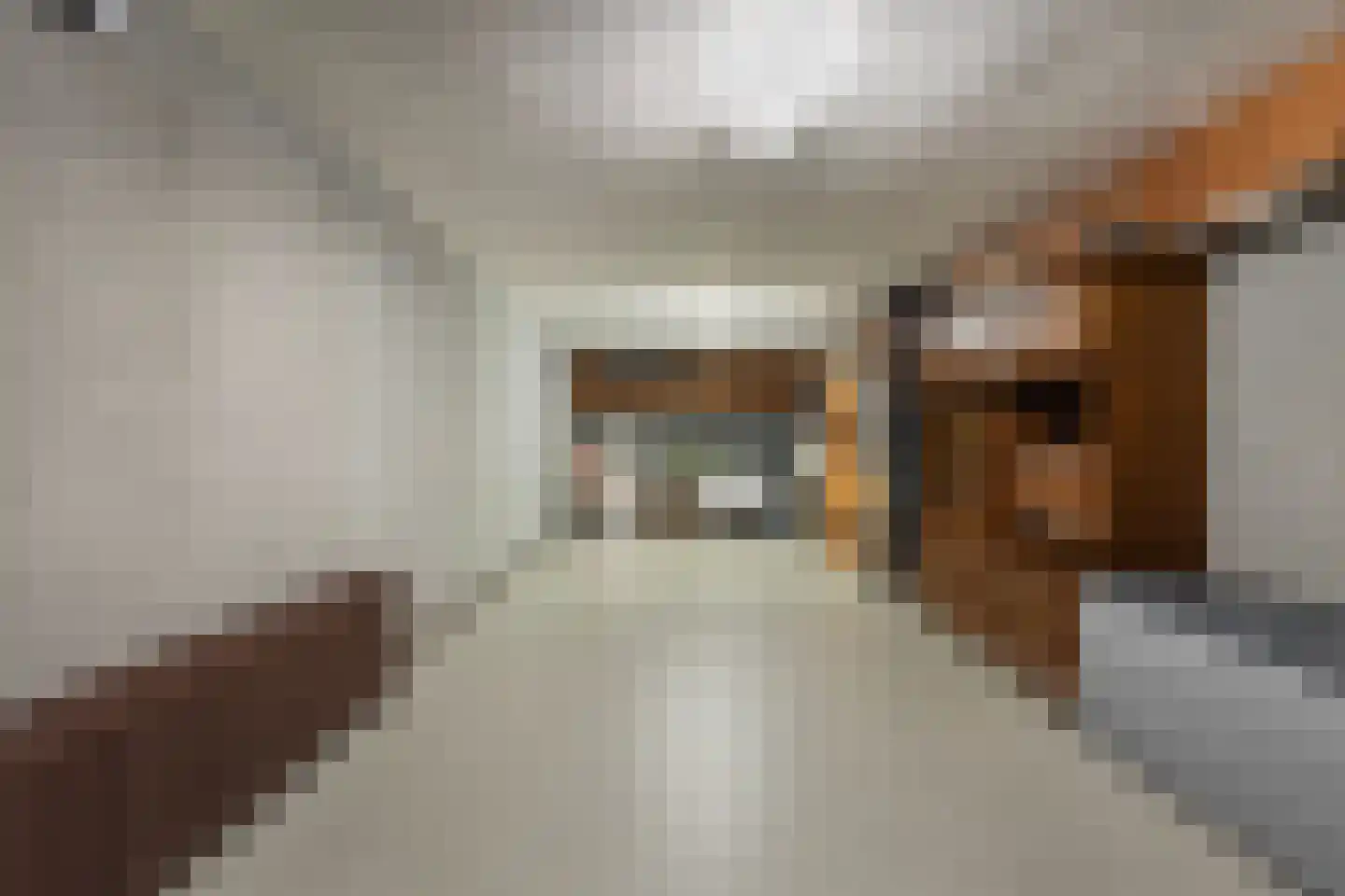 Traland 8 Eibergen thumbnail 38