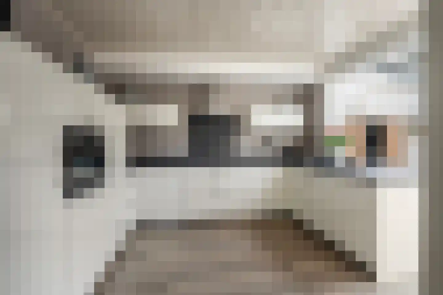 Traland 8 Eibergen thumbnail 4