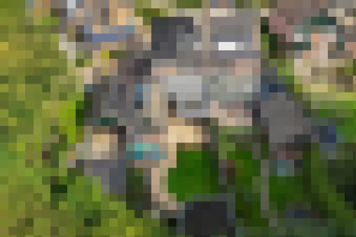 Traland 8 Eibergen thumbnail 44