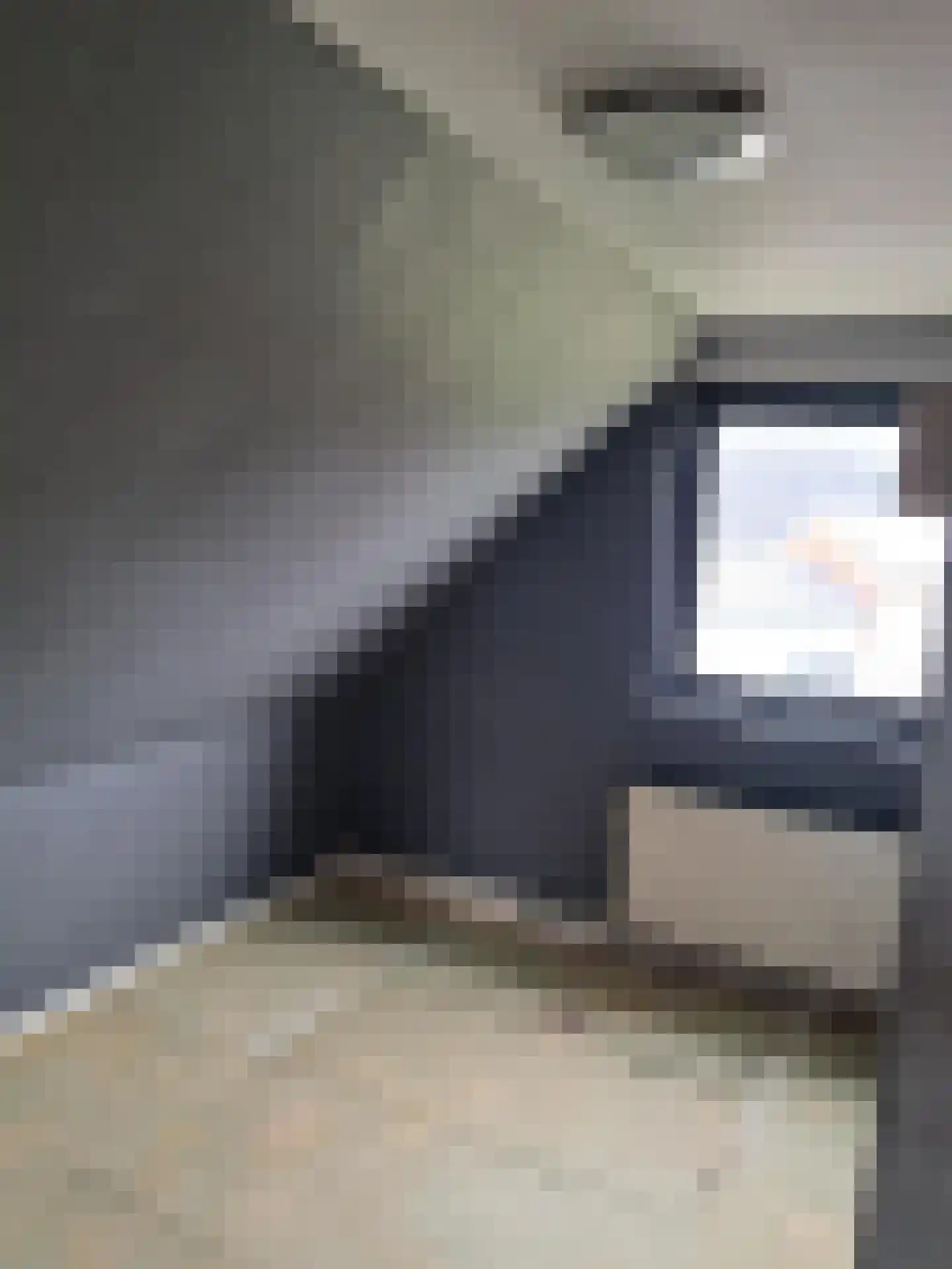 Trambaan 1 Farmsum thumbnail 15