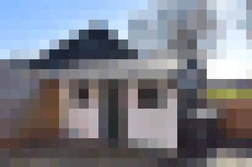 Trambaan 1 Farmsum thumbnail 7