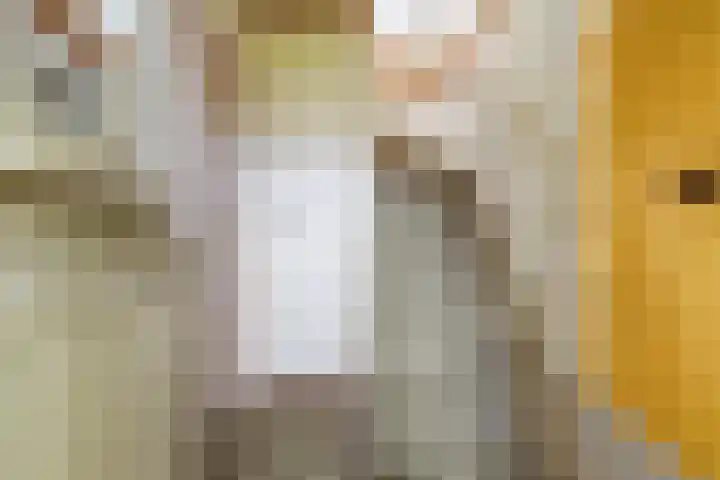 Trambaan 1 Zonnemaire thumbnail 10