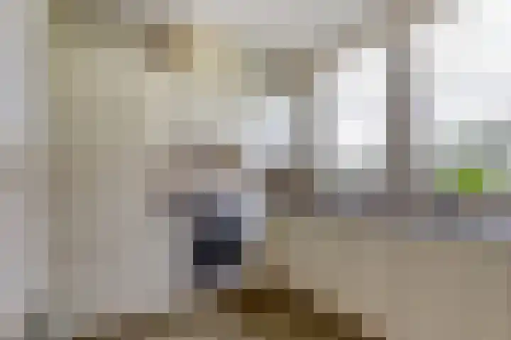 Trambaan 1 Zonnemaire thumbnail 14