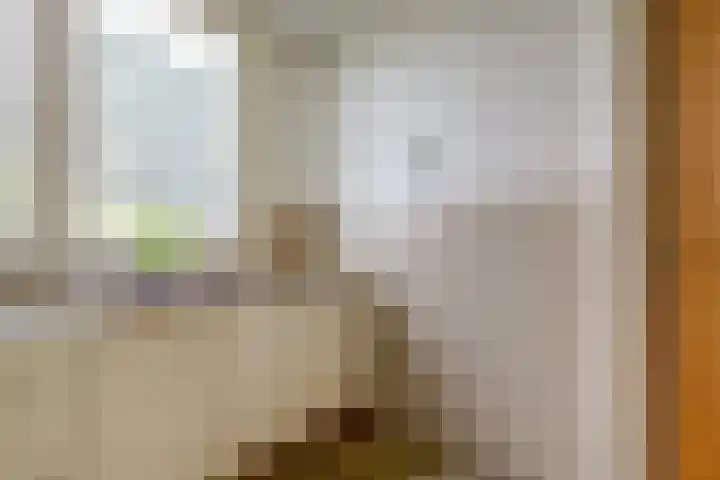 Trambaan 1 Zonnemaire thumbnail 15
