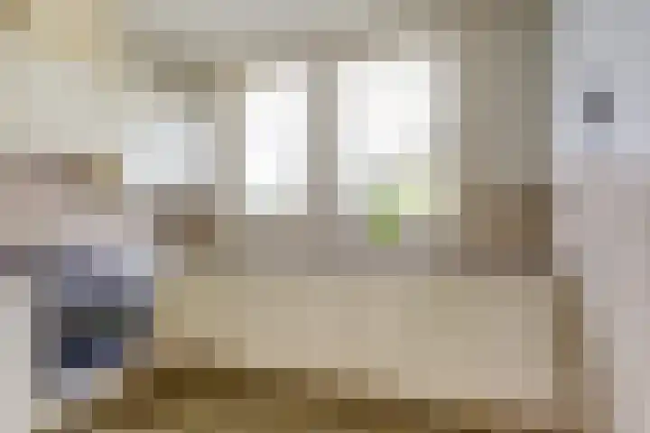 Trambaan 1 Zonnemaire thumbnail 16