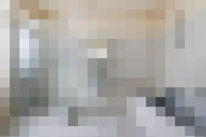 Trambaan 1 Zonnemaire thumbnail 19
