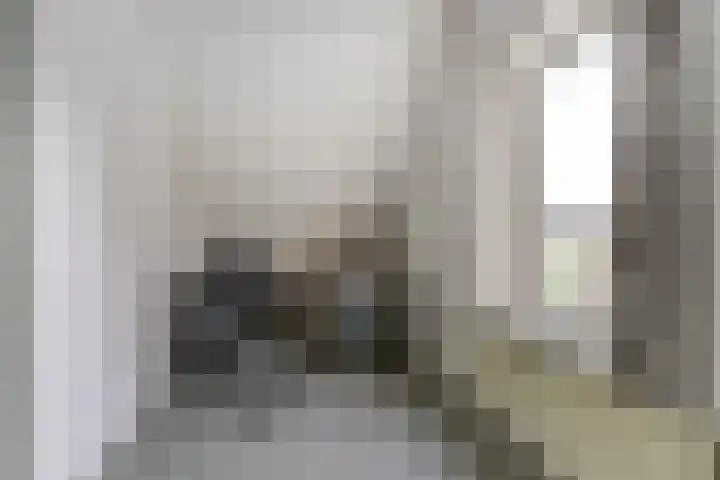 Trambaan 1 Zonnemaire thumbnail 24