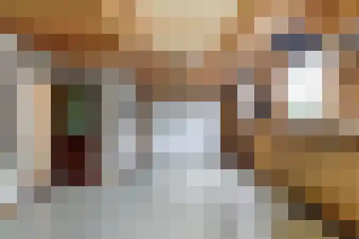 Trambaan 1 Zonnemaire thumbnail 28
