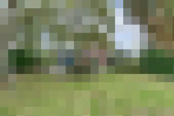 Trambaan 1 Zonnemaire thumbnail 31