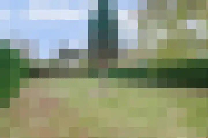 Trambaan 1 Zonnemaire thumbnail 32