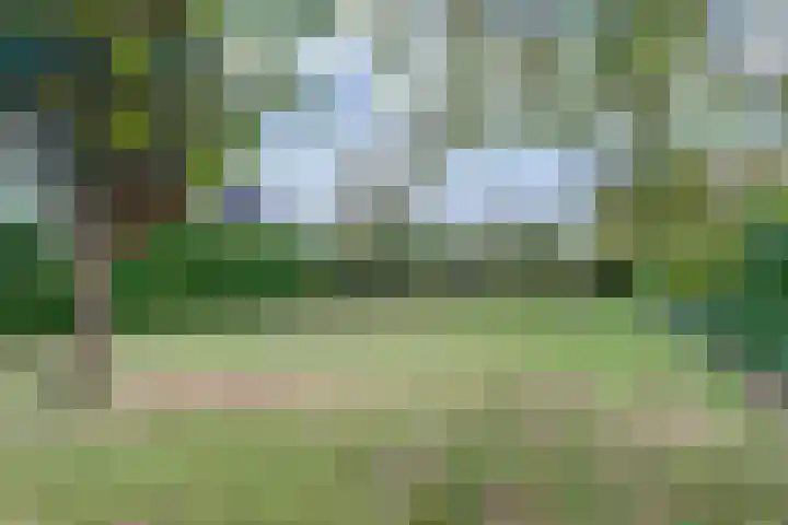 Trambaan 1 Zonnemaire thumbnail 33