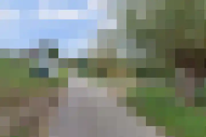 Trambaan 1 Zonnemaire thumbnail 36