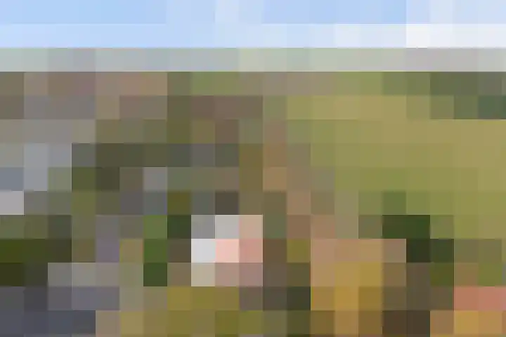 Trambaan 1 Zonnemaire thumbnail 38
