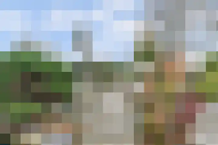 Trambaan 1 Zonnemaire thumbnail 4