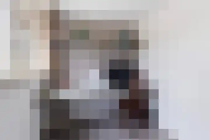 Trambaan 10 Burgum thumbnail 25