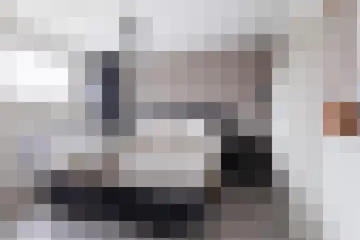 Trambaan 10 Burgum thumbnail 4