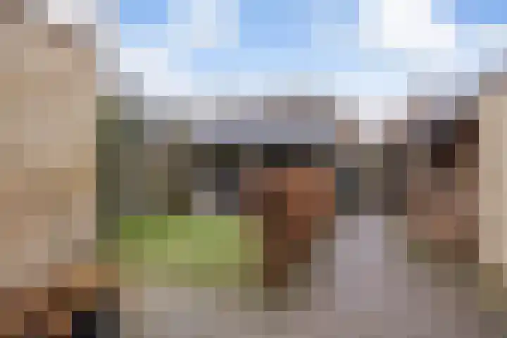 Trambaan 10 Burgum thumbnail 40