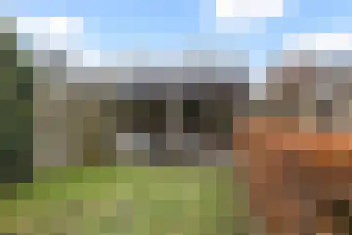 Trambaan 10 Burgum thumbnail 42