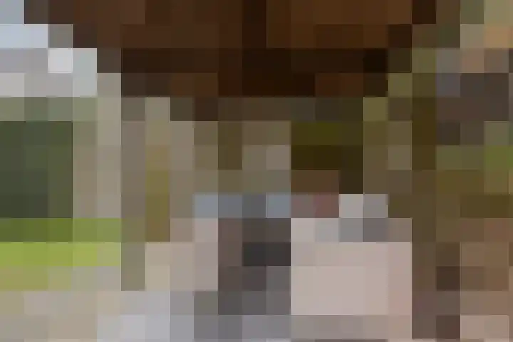Trambaan 10 Burgum thumbnail 43