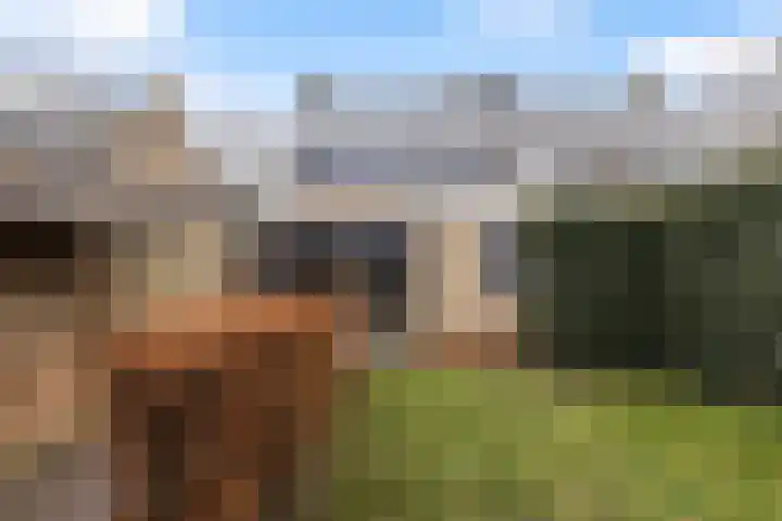 Trambaan 10 Burgum thumbnail 44