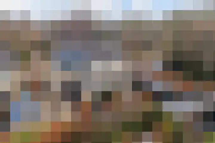 Trambaan 10 Burgum thumbnail 45