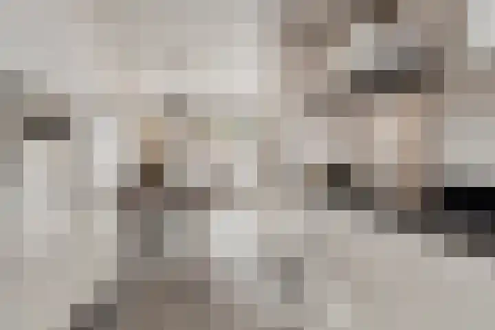 Trambaan 11 Lengel thumbnail 13