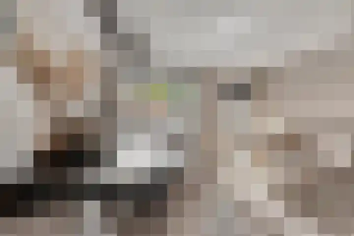 Trambaan 11 Lengel thumbnail 14