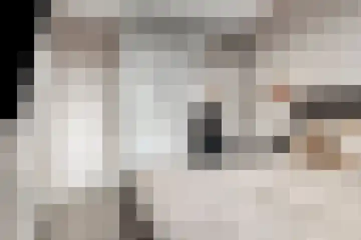 Trambaan 11 Lengel thumbnail 18