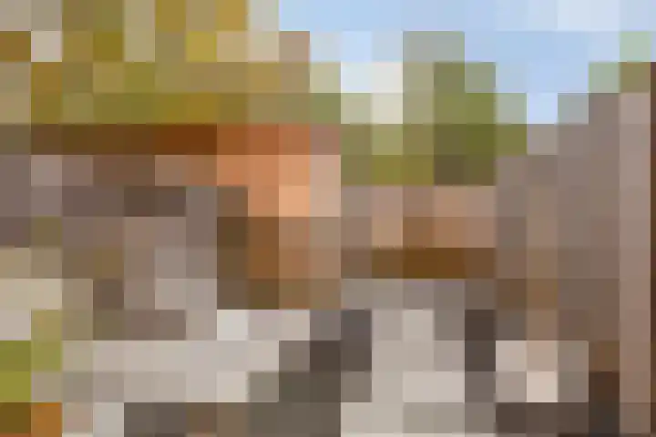 Trambaan 11 Lengel thumbnail 31
