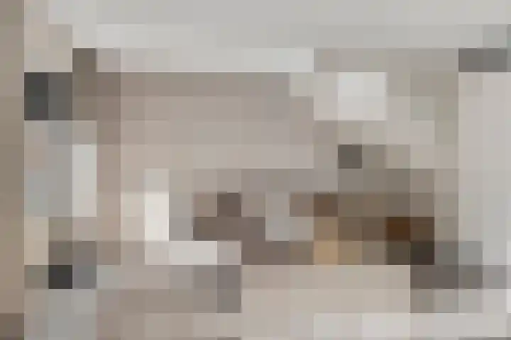 Trambaan 11 Lengel thumbnail 7
