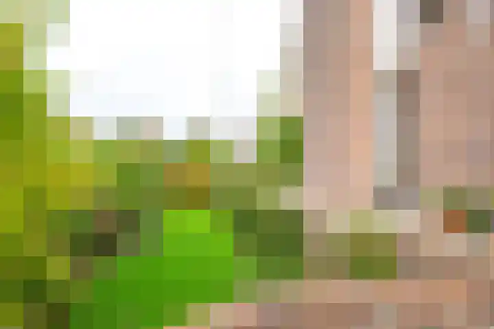 Trambaan 11 Winkel thumbnail 10