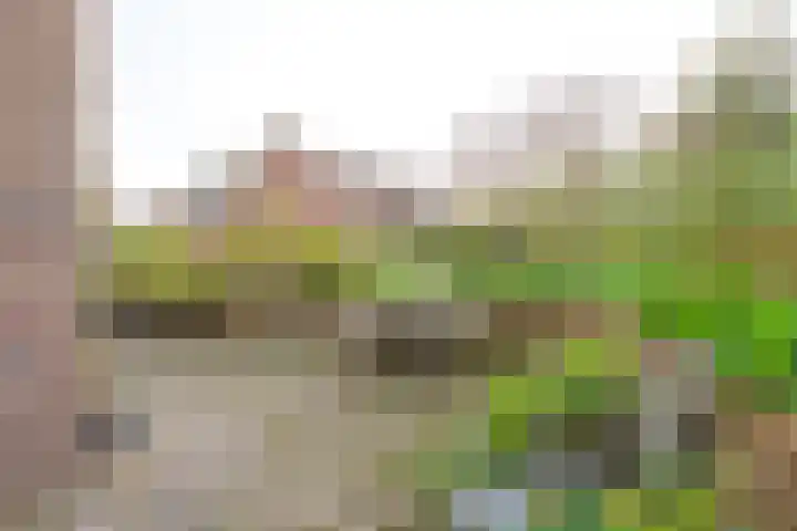Trambaan 11 Winkel thumbnail 11