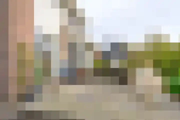 Trambaan 11 Winkel thumbnail 12
