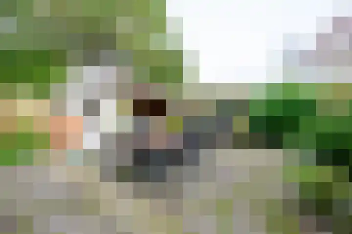 Trambaan 11 Winkel thumbnail 20