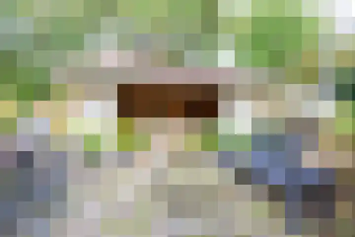 Trambaan 11 Winkel thumbnail 21