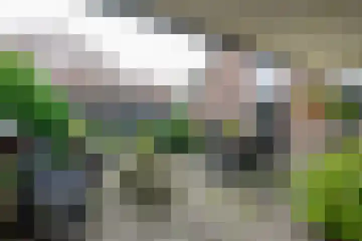 Trambaan 11 Winkel thumbnail 22