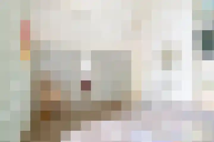 Trambaan 11 Winkel thumbnail 29