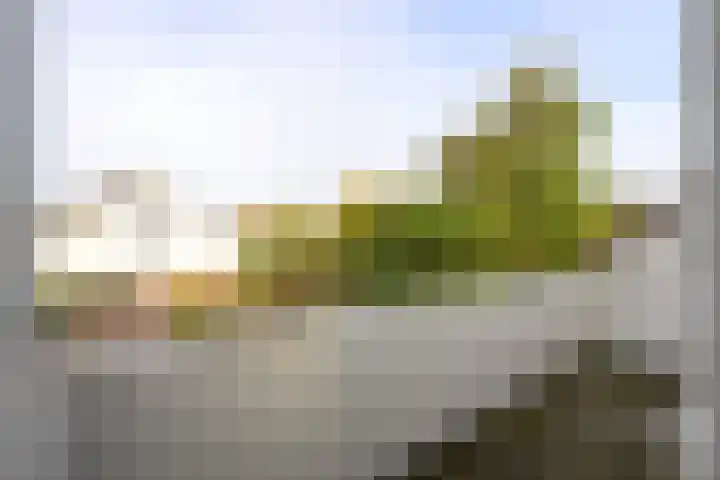 Trambaan 11 Winkel thumbnail 34