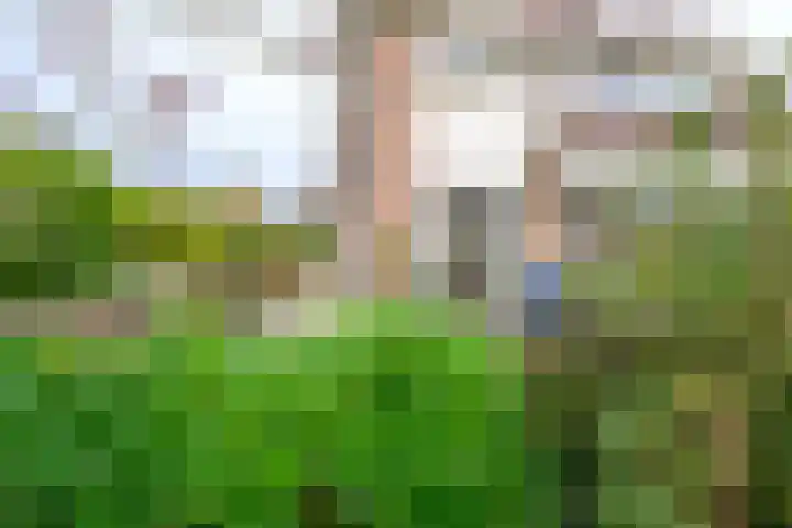 Trambaan 11 Winkel thumbnail 43