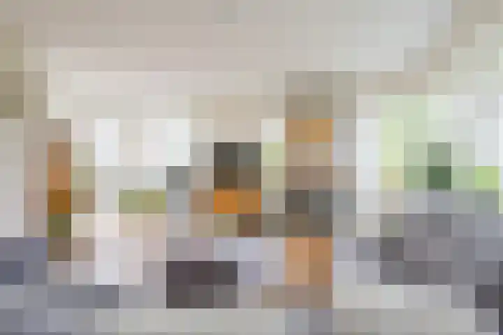 Trambaan 11 Winkel thumbnail 5