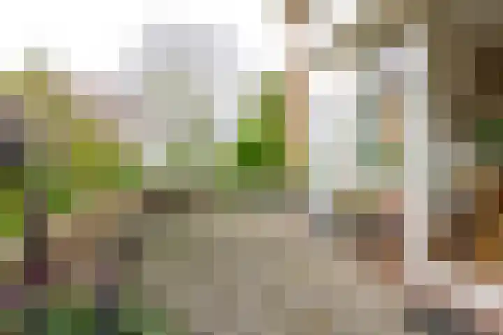 Trambaan 11 Winkel thumbnail 9