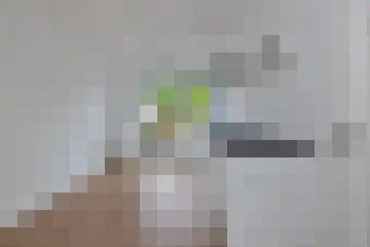 Trambaan 123 Nieuwe Niedorp thumbnail 13